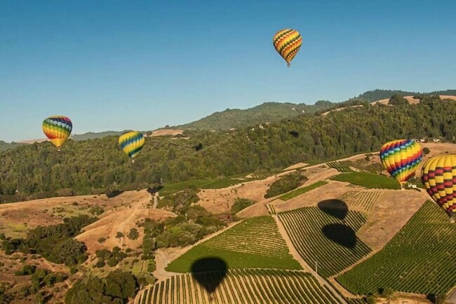 Building Photo - 662 Cottage Dr