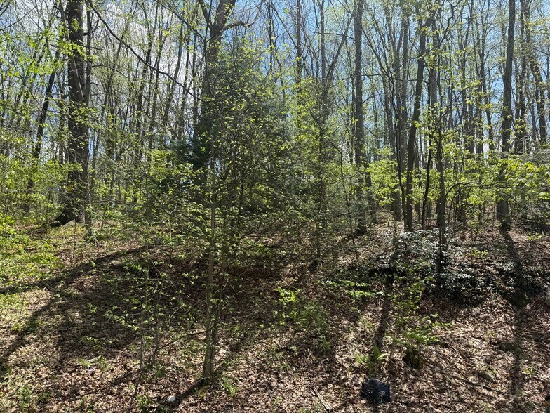 Building Photo - 46 Lime Kiln Rd