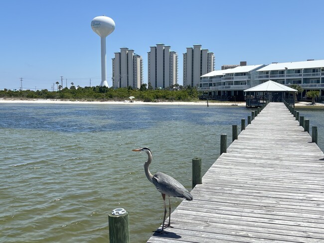 Building Photo - 8522 Gulf Blvd