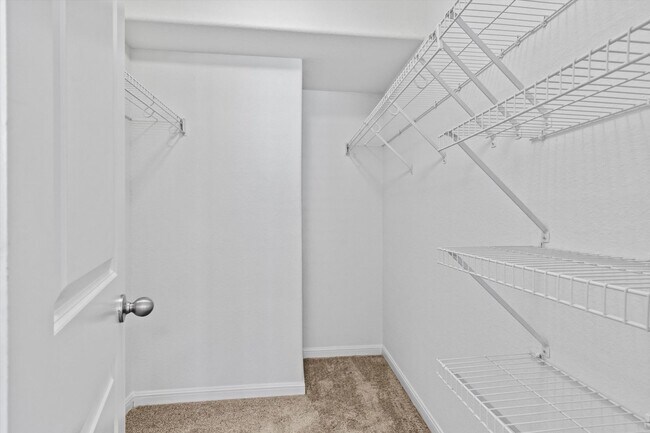 Building Photo - 2 Bedroom 2 Bathroom Duplex in Blanco Rive...
