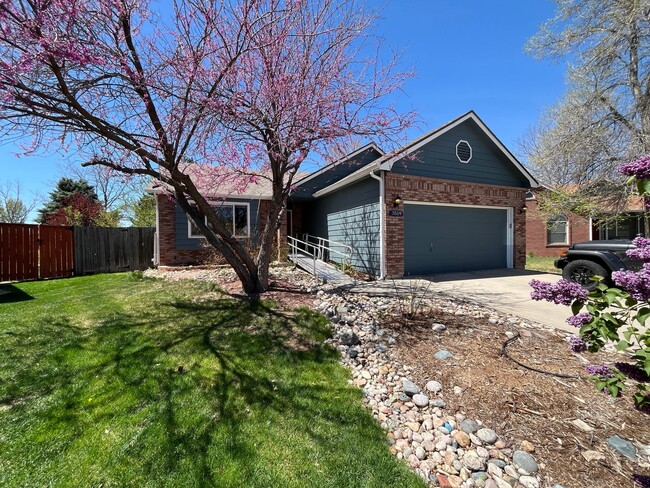 Primary Photo - Fantastic Home in West Fort Collins