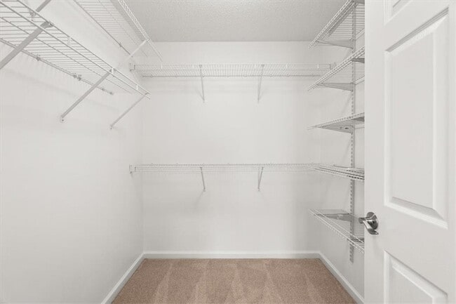 Building Photo - 1305 Village Ln