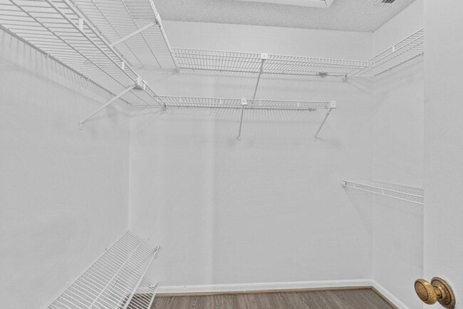 Building Photo - 5710 Princess Palm Ct