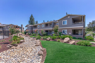 Building Photo - Palm Lakes Apartments