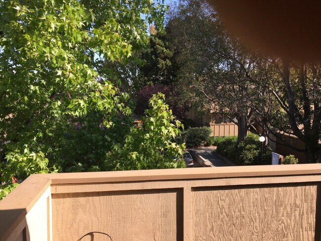 Patio View - 2452 W Bayshore Rd