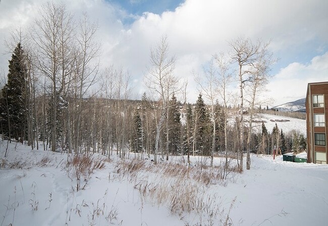 Building Photo - 29 Ryan Gulch Rd