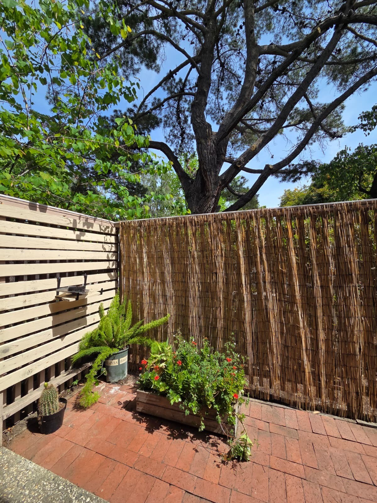 Building Photo - 280 Easy St