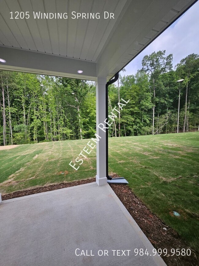 Building Photo - 1205 Winding Spg Dr