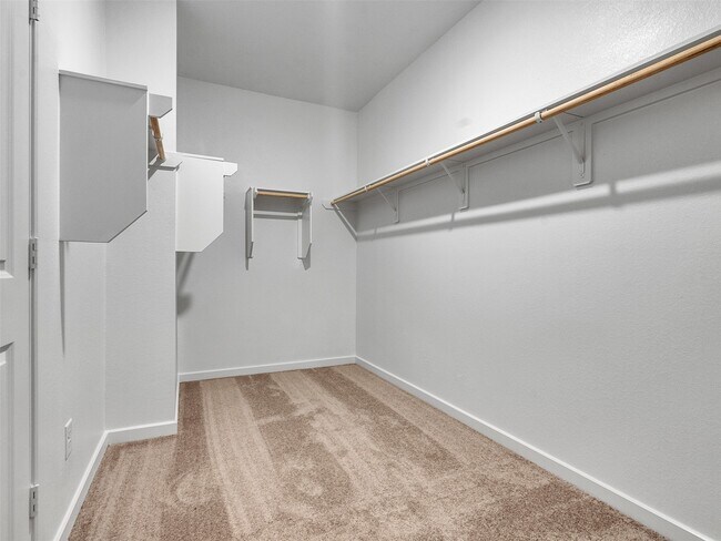 Building Photo - 22103 Strathfield Cir