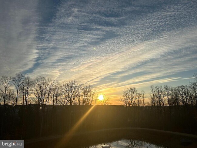 Building Photo - 12950 Blue Sky Pl