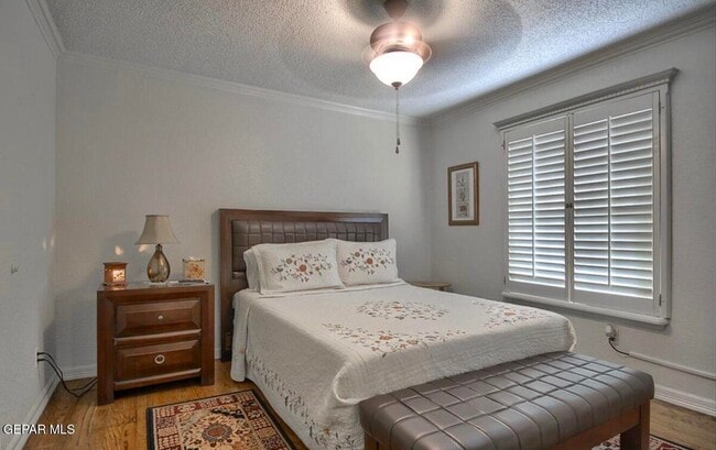 Building Photo - 1933 Gus Moran St