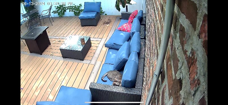 Building Photo - 669 Park Pl