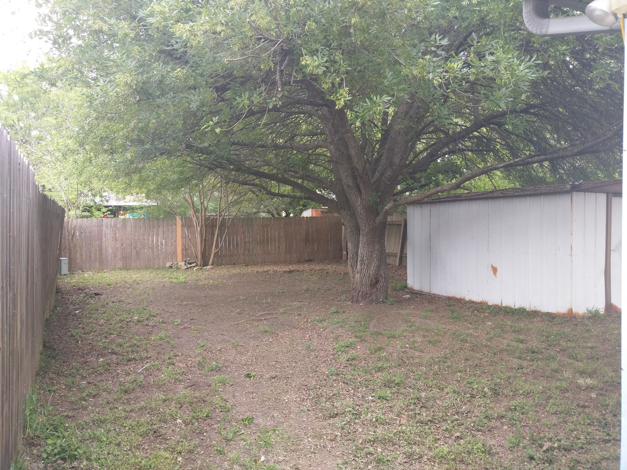 Backyard with large trees and Storage Shed - 2524 Corian Glen Dr