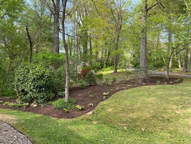 Building Photo - East AVL - Mid Century Modern Beauty in Bo...
