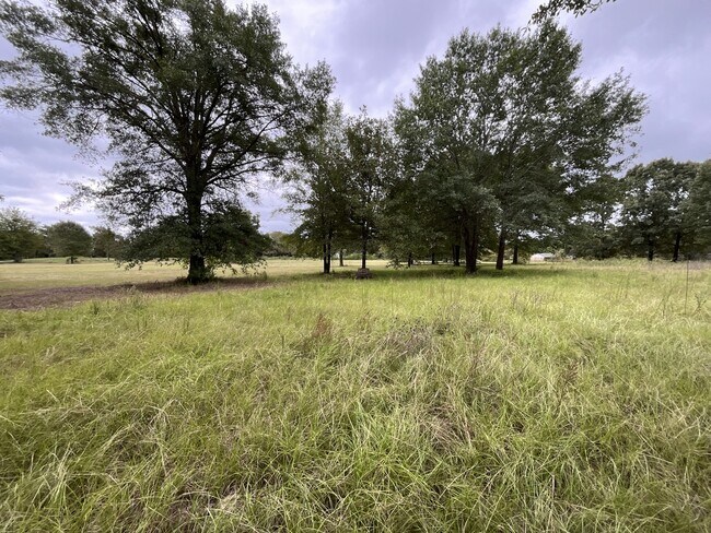 Building Photo - 403 Vz County Rd 3613