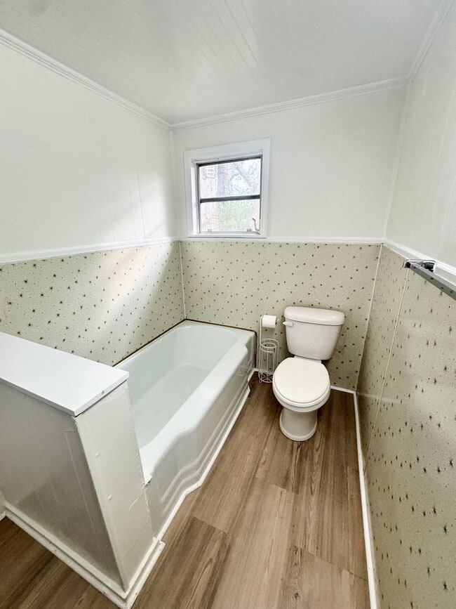 Building Photo - ADORABLE Downtown Cottage in Conway. Fantastic location and TONS of charm. Fenced in back yard!