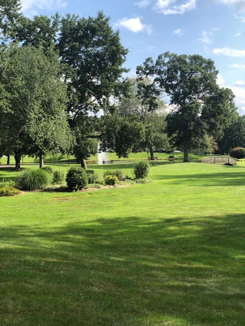 lawn area by pool/pond - 75 Metacomet Dr