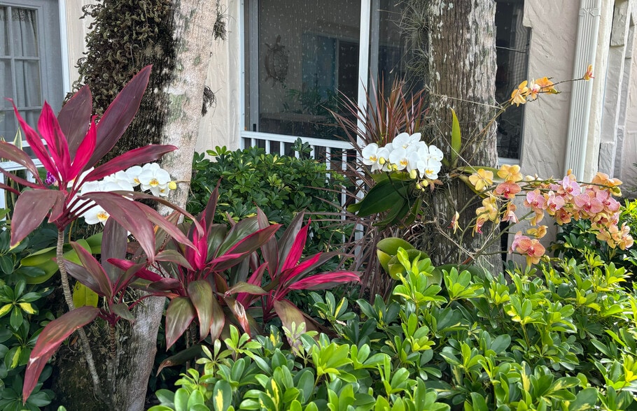 tropical garden outside lanai and julliete door. - 106 Siena Way