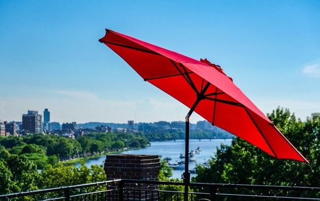 Building Photo - 112 Pinckney St