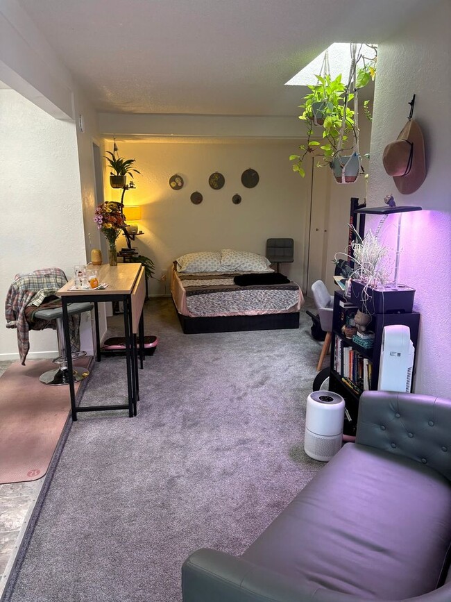 Building Photo - Newly Updated Studio In North Park