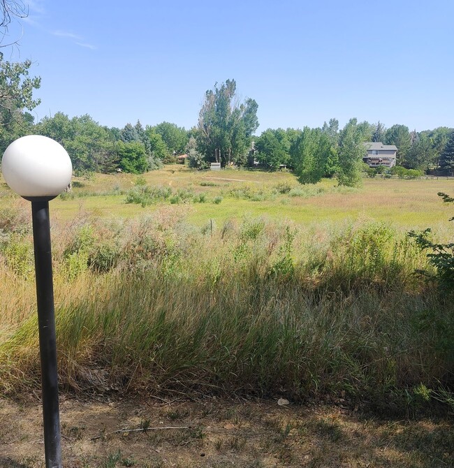 Building Photo - Spacious 1 Bedroom Condo for Rent in Niwot