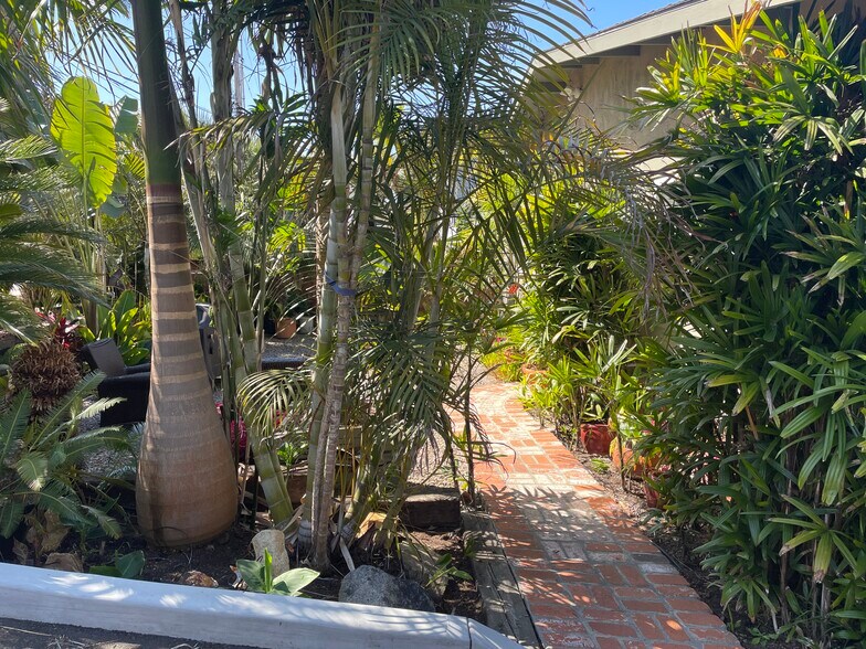 Entry Path - 818 Hygeia Ave