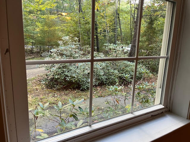 Front Walkway from LR - 167 Shaws Mill Rd
