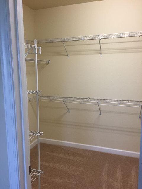 Building Photo - 10217 Wellington Parc Dr