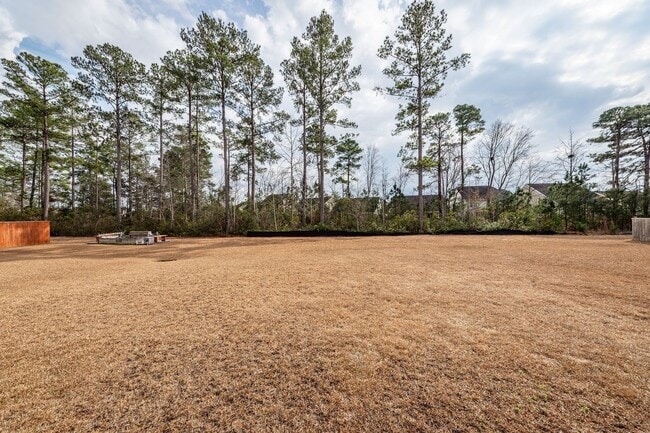 Building Photo - 4 Bedroom, 2.5 Bathroom Home in Cane Bay Plantation - Summerville