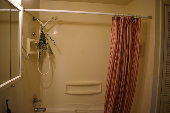 bathroom - 408 W Elm St