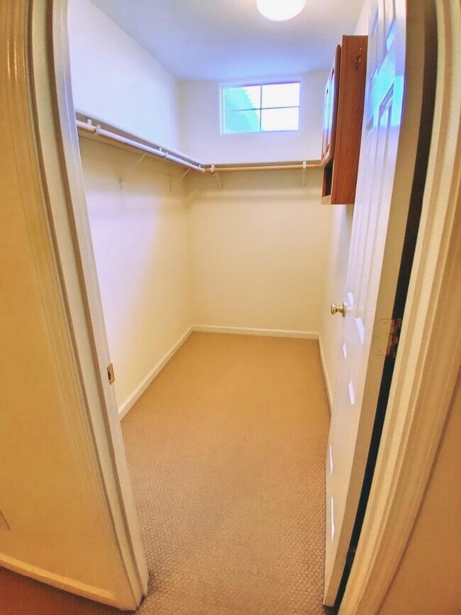 Building Photo - 784 Begonia Dr