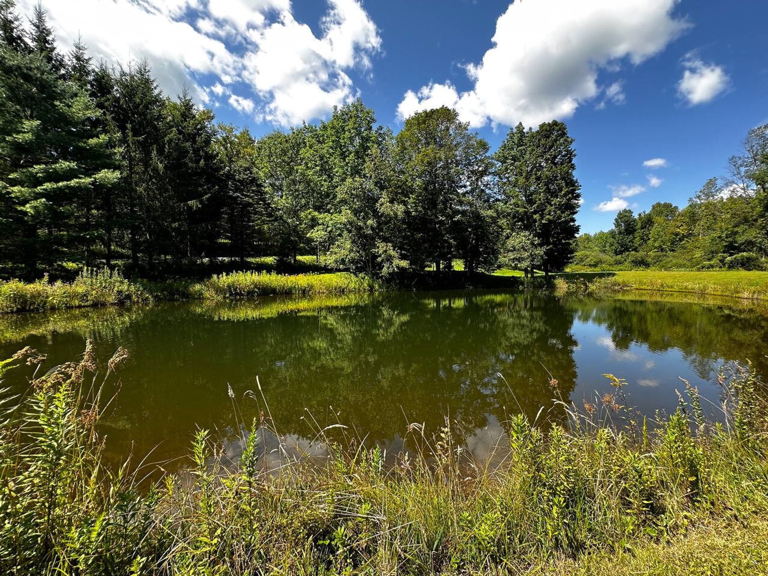 Building Photo - 614 Sanford Hollow Rd