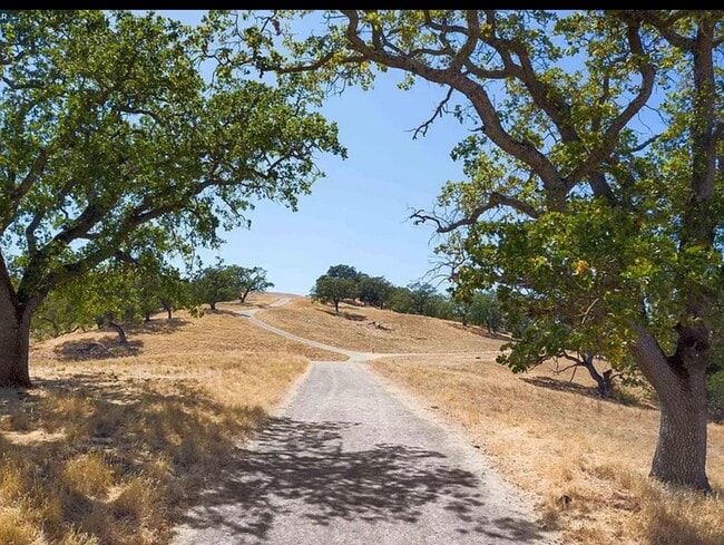 Building Photo - 1416 Venice Ter