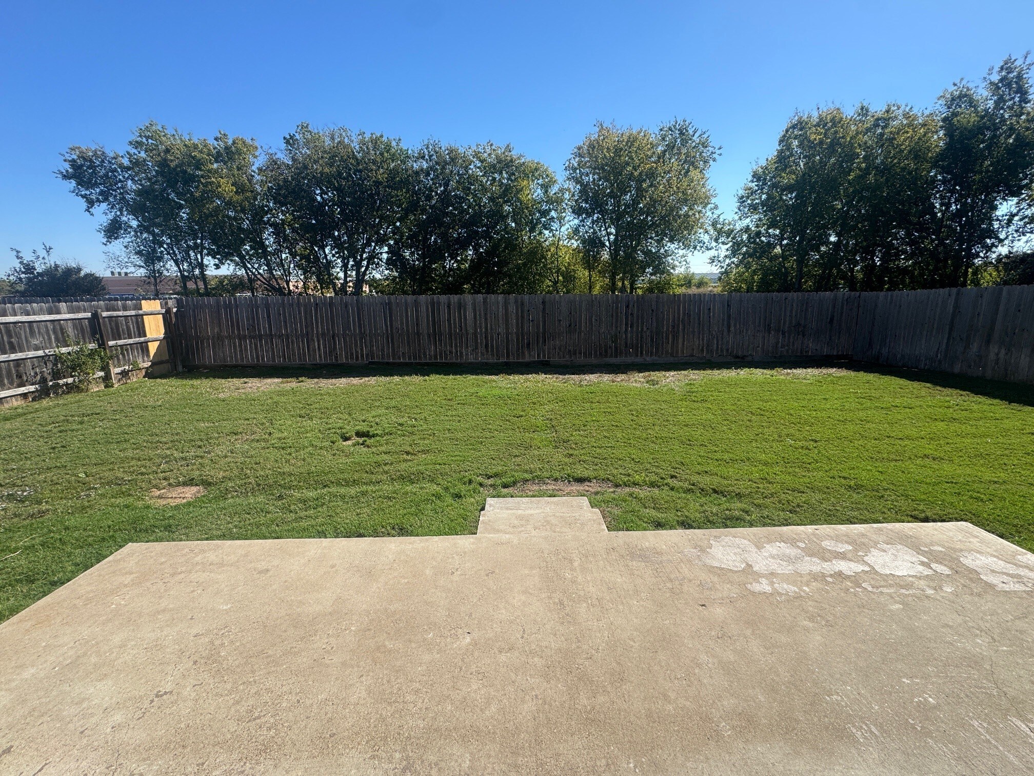 Building Photo - 1107 Rhodactis Dr