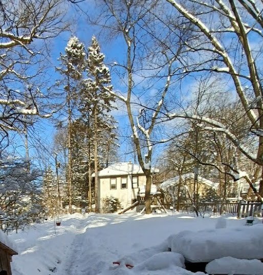 Building Photo - 922 Oakwood Ave