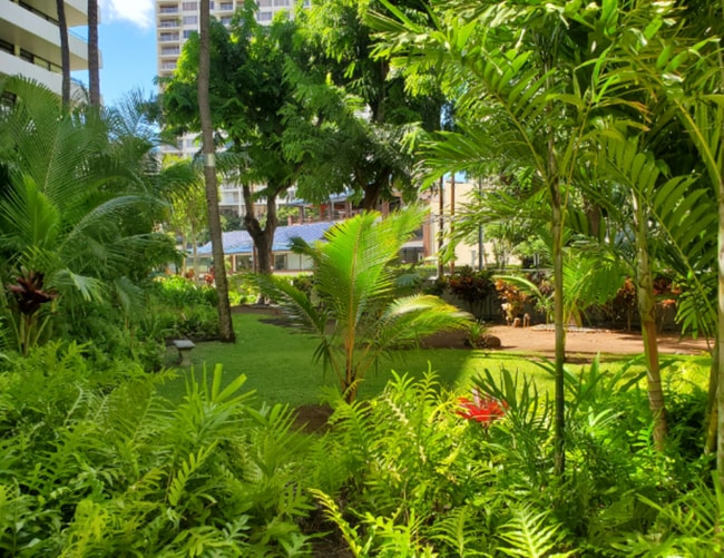 Building Photo - 425 Ena Rd