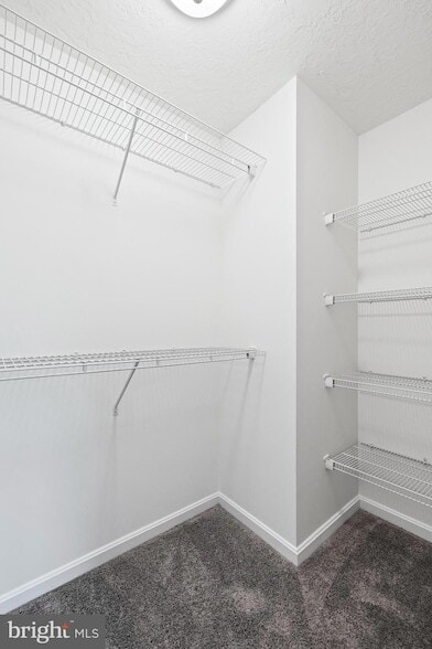 Building Photo - 22 Cadbury Dr