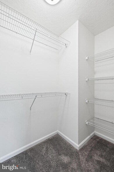 Building Photo - 2935 Ashwood Ln