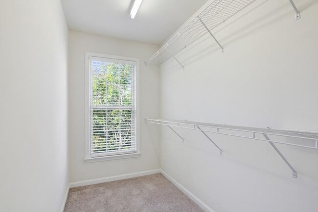 Building Photo - 3563 Views Trce