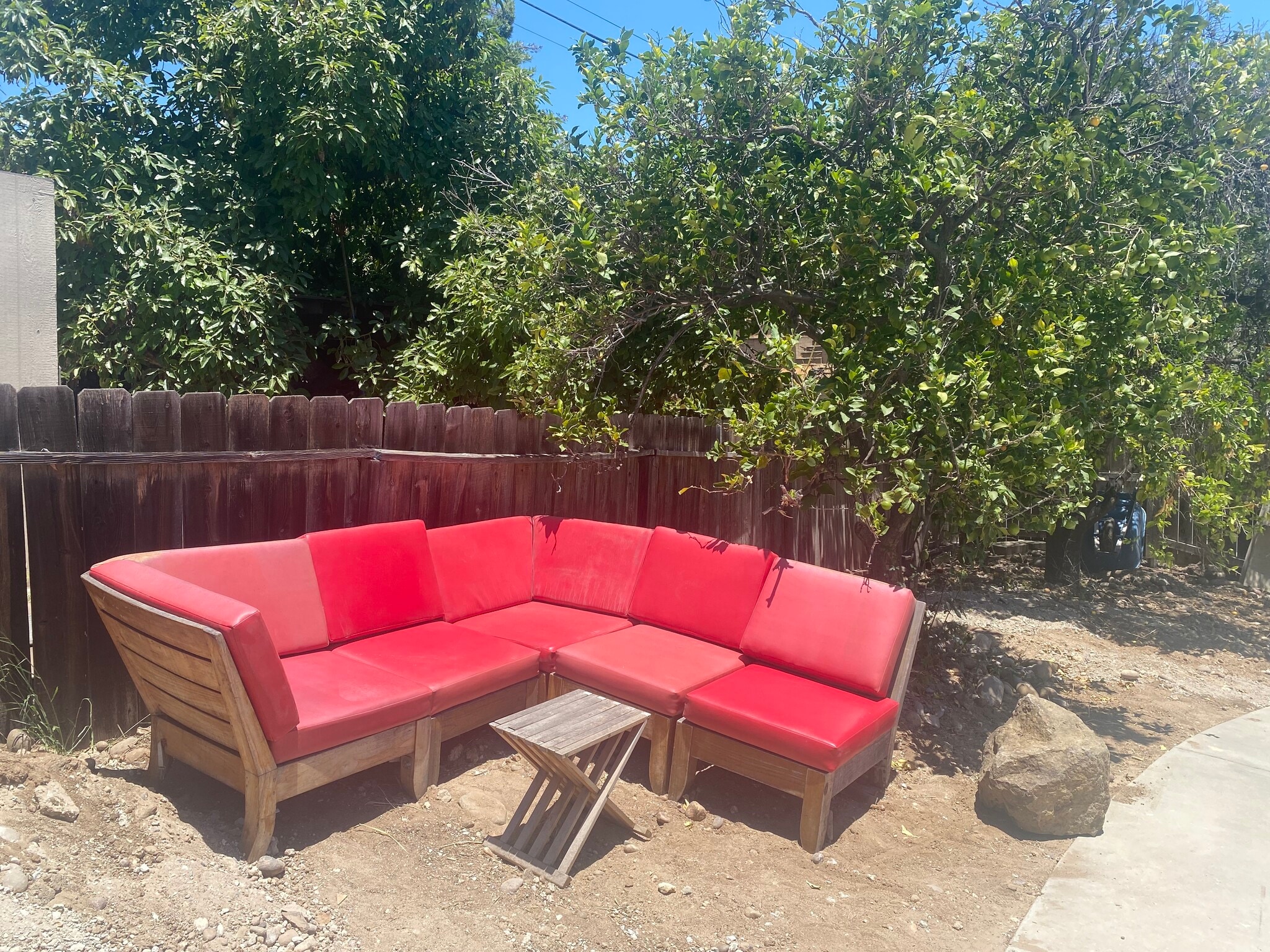 Lounge furniture included, fruit trees (landscaping to be completed in next few months) - 4358 Aragon Dr