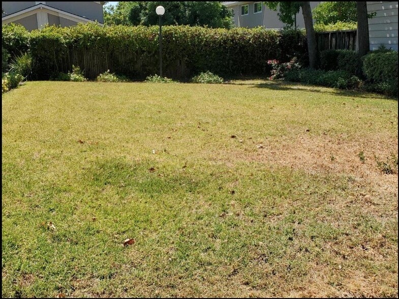 Building Photo - 41 Terfidia Ln