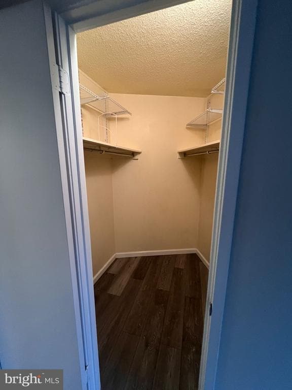 Building Photo - 5903 Mt Eagle Dr