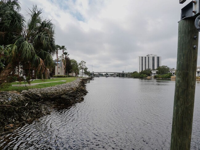 Building Photo - Riverfront Oasis in the City of Tampa!