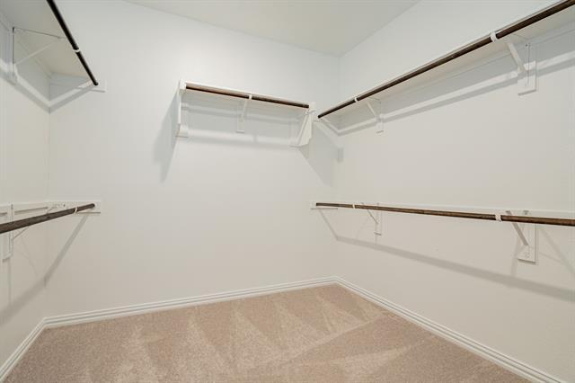 Building Photo - 3313 Kiskadee Ct