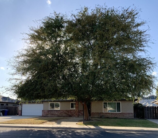 Building Photo - 3 Bedroom 2 Bath Home
