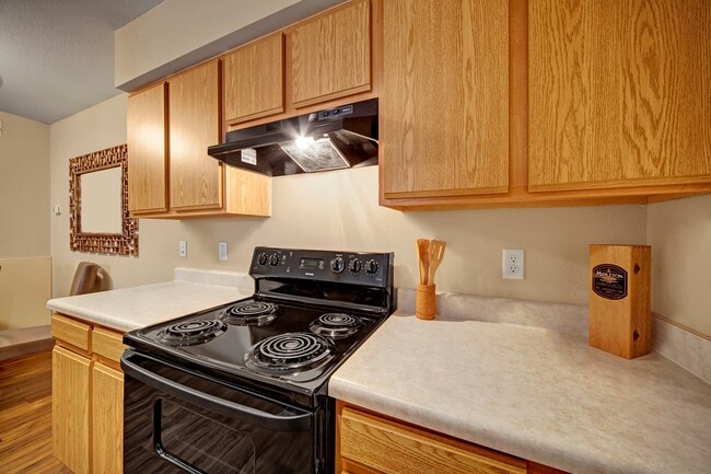 Modern Black Kitchen Appliances - Summit Point