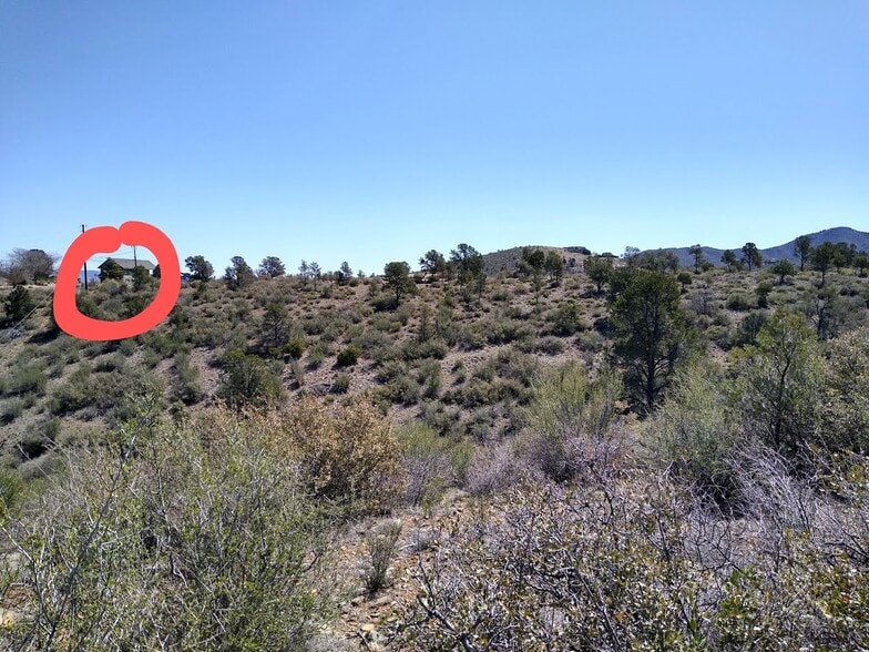 View of home from the hiking trail - 1003 N Opal Dr