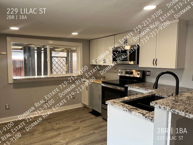 Building Photo - 229 Lilac St