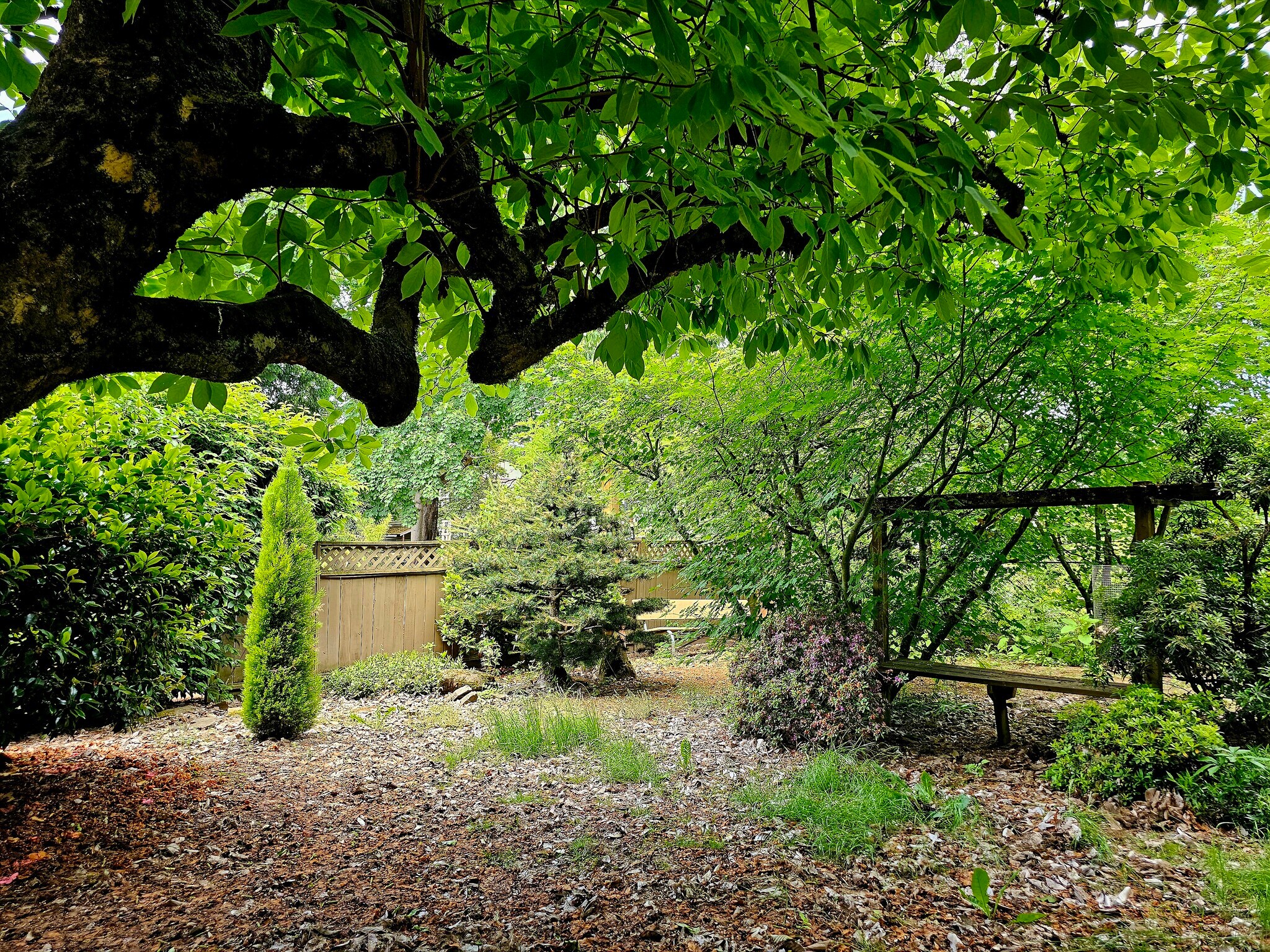 Building Photo - 309 NE Graham St