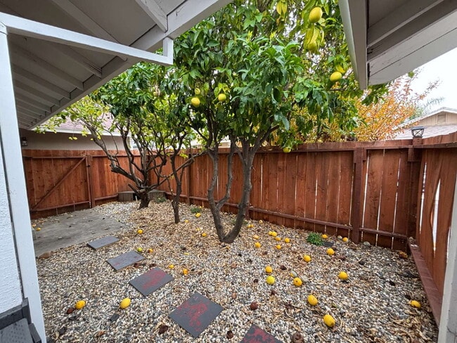 Building Photo - "Charming Concord Retreat: 3-Bedroom Gem with Granite Accents & Cozy Fireplace"